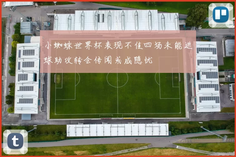 小蜘蛛世界杯表现不佳四场未能进球助攻转会传闻或成隐忧